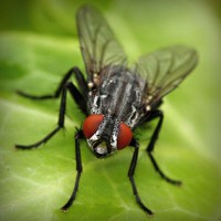 /album/dragonballapp-com/photolia-a01-jpg/