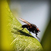 /album/dragonballapp-com/photolia-a04-jpg/