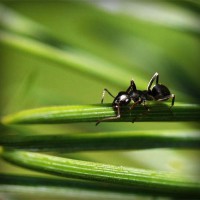 /album/dragonballapp-com/photolia-a05-jpg/