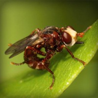 /album/dragonballapp-com/photolia-a06-jpg/