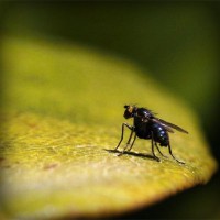 /album/dragonballapp-com/photolia-a07-jpg/