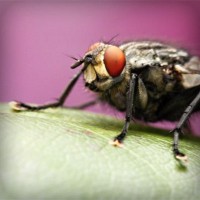 /album/dragonballapp-com/photolia-a08-jpg/